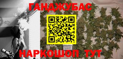 гашик Будённовск