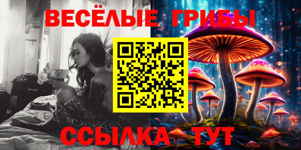 Псилоцибиновые грибы Psilocybine cubensis Малоярославец